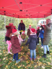 Nikolauslauf4